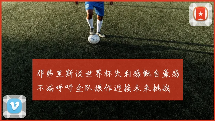 邓弗里斯谈世界杯失利感慨自豪感不减呼吁全队振作迎接未来挑战