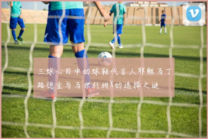 三球心目中的球鞋代言人耶稣马丁路德金与马尔科姆X的选择之谜