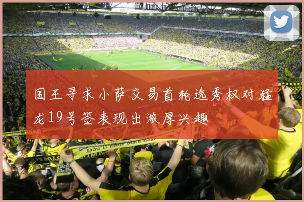 国王寻求小萨交易首轮选秀权对猛龙19号签表现出浓厚兴趣